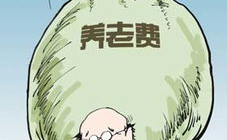 中国养老金缺口,挑战与应对策略概览