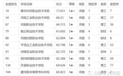 专科学校排名及分数线,2024-2025年度全国专科学校排名与录取分数线概览