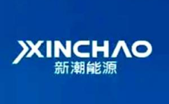 新潮能源,山东新潮能源股份有限公司2016年年度业绩概览