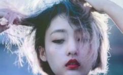 高傲的网名,高傲之翼翱翔网络世界