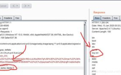 bash 漏洞,解析、影响与防御策略