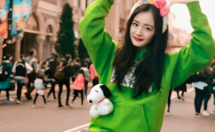 娱乐圈吃瓜猛料杨幂是谁,杨幂成焦点，揭秘明星背后的真相
