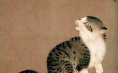 娱乐吃瓜猫捉鸟,揭秘娱乐圈幕后风云