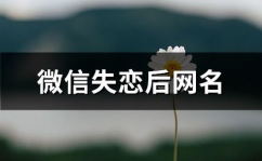 失恋网名大全,千种情感，一字传情