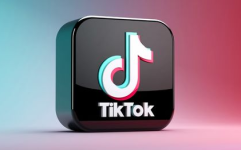 TIKTOK海外直播网络专线,TIKTOK海外直播网络专线深度解析