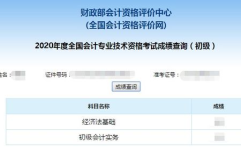 全国会计专业技术资格考试成绩查询,“2025年全国会计专业技术资格考试成绩查询指南”