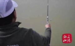 老鬼钓鱼,传承钓鱼技艺,打造垂钓爱好者乐园