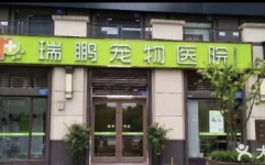 北京口碑好的宠物医院,专业服务,呵护宠物健康”