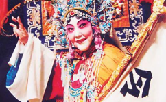 豫剧马金凤,豫剧舞台上的璀璨明珠