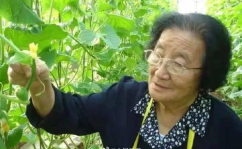 游戏发行人用娱乐吃瓜,揭秘游戏发行人背后的故事