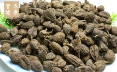 砂仁的功效与作用,化湿开胃、温脾止泻、理气安胎的天然良药