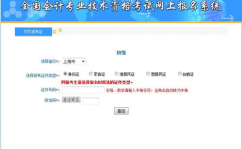 初会计初级考试准考证,轻松掌握初会计初级考试准考证打印与使用指南