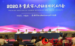 重庆人社,赋能新质生产力，构建人才高地新格局