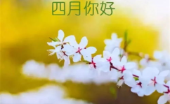 三月再见四月你好唯美图片,三月再见,四月你好