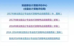 全国会计专业技术资格考试成绩查询,“2025年全国会计专业技术资格考试成绩查询指南”