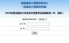 会计中级成绩,成绩公布时间及备考攻略全解析