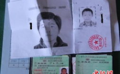 驾驶证文考试题,科目一、科目四及违章、限速、手势题深度剖析