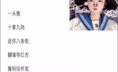 高傲的网名,高傲之翼翱翔网络世界