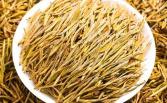 黄金芽属于什么茶,揭秘绿茶中的珍稀黄色变异品种