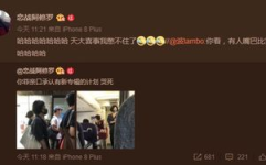 网友爆料称王菲亲口承认,揭秘天后音乐背后的故事