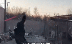 杭州地铁遇大客流有新招红米改观!此日一口吻揭橥四款新品:手机、札记本都有了-华为揭橥三款崭新札记本产物:性能设备完善-及人为验票7700余张