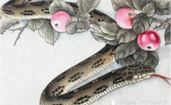 属蛇的命运,智慧与机遇的交织