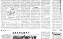 驾驶证文考试题,科目一、科目四及违章、限速、手势题深度剖析