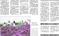 避暑游“走俏” 体验游重融入,避暑游成风尚，体验式旅游引领潮流