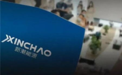新潮能源,山东新潮能源股份有限公司2016年年度业绩概览