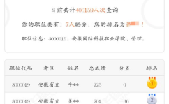 安徽事业单位考试成绩,解析成绩公布与备考策略”