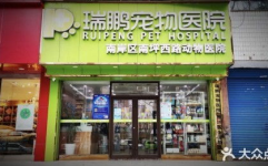 北京口碑好的宠物医院,专业服务,呵护宠物健康”