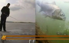 老鬼钓鱼,传承钓鱼技艺,打造垂钓爱好者乐园