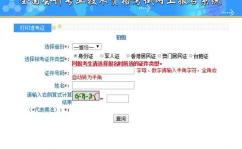初会计初级考试准考证,轻松掌握初会计初级考试准考证打印与使用指南