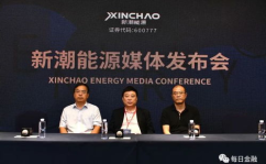 新潮能源,山东新潮能源股份有限公司2016年年度业绩概览