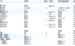 尿液检查3 是什么意思,尿液检查中“3 ”的含义解读