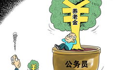 中国养老金缺口,挑战与应对策略概览