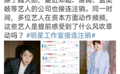 明星工作室接连注销,明星工作室注销潮背后的税务监管与行业整顿”