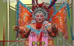 豫剧马金凤,豫剧舞台上的璀璨明珠