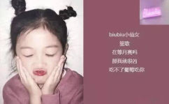 高傲的网名,高傲之翼翱翔网络世界