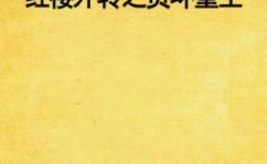 重生之贾环,逆袭人生,笑傲江湖