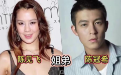 娱乐圈 亲姐弟,共筑星途,情比金坚