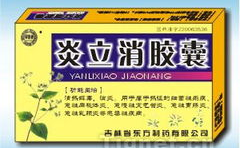炎立消胶囊,清热解毒,消炎止痛的中成药解析