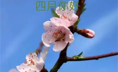 三月再见四月你好唯美图片,三月再见,四月你好