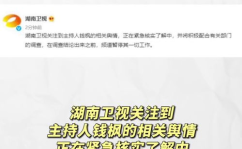 吃瓜娱乐模板,揭秘明星们的“瓜田”奇遇记