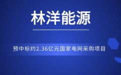 国电招标网,助力能源行业高效招标，推动绿色发展新篇章