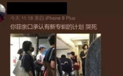 网友爆料称王菲亲口承认,揭秘天后音乐背后的故事