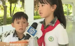 小学生遛狗捡到26万,小学生遛狗意外捡得巨款，坚守诚信归还失主